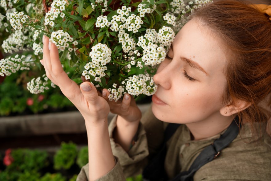 Žena miriše cveće jasmina